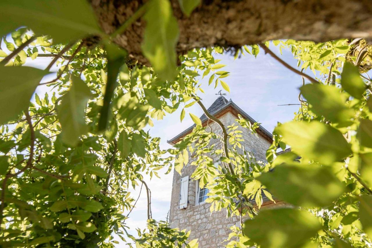 Domaine La Garenne Bed & Breakfast Reilhaguet Luaran gambar