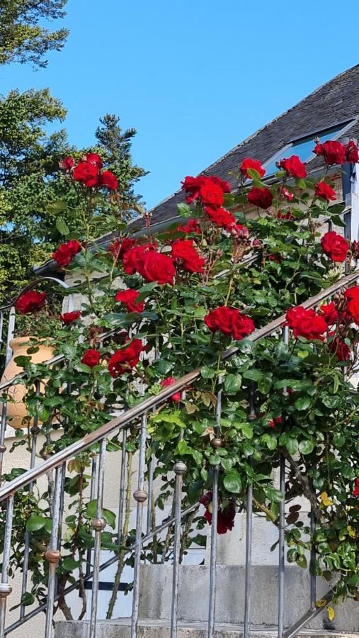 Domaine La Garenne Bed & Breakfast Reilhaguet Luaran gambar